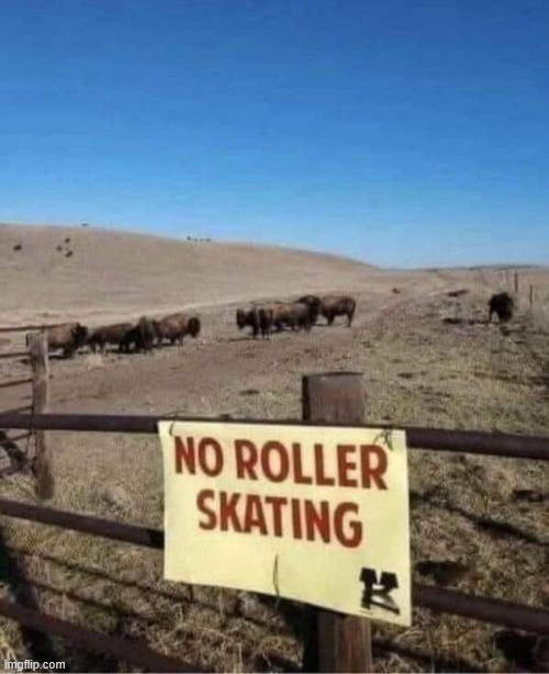 No roller skating. | image tagged in memes,no roller skating | made w/ Imgflip meme maker