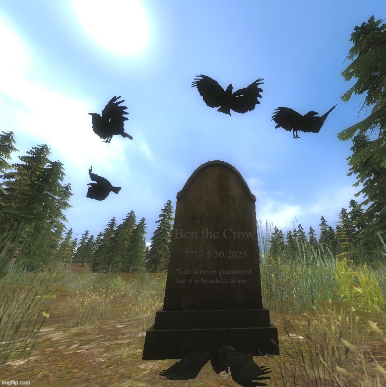 i saw a dying crow outside, so i decided to make this. rest in peace ben. | Ben the Crow; ??? - 5/30/2025; "Life is never guaranteed, but it is beautiful to see." | made w/ Imgflip meme maker