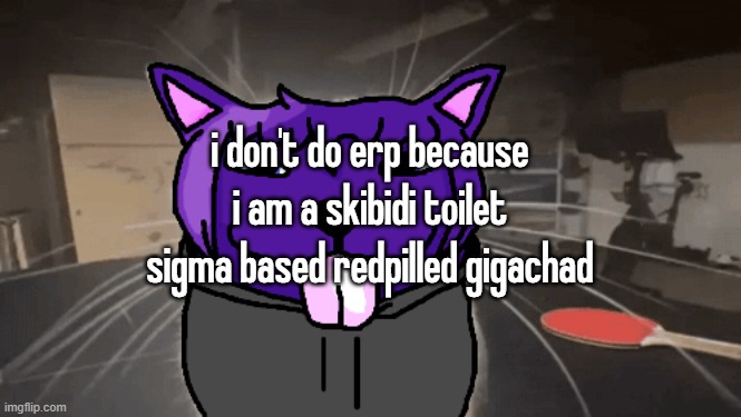 tge silly | i don't do erp because i am a skibidi toilet sigma based redpilled gigachad | image tagged in tge silly | made w/ Imgflip meme maker