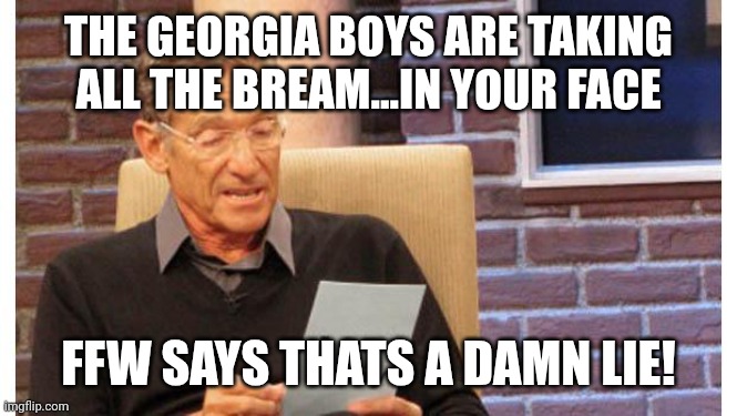 maury povich | THE GEORGIA BOYS ARE TAKING ALL THE BREAM...IN YOUR FACE; FFW SAYS THATS A DAMN LIE! | image tagged in maury povich | made w/ Imgflip meme maker