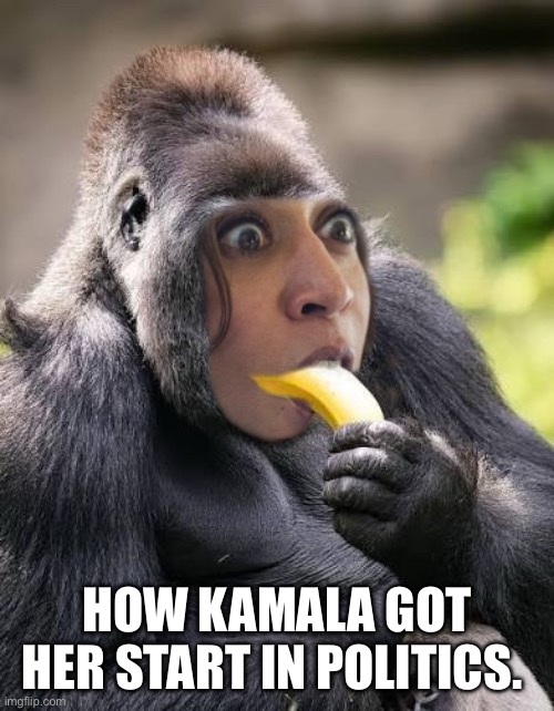 HOW KAMALA GOT HER START IN POLITICS. | made w/ Imgflip meme maker