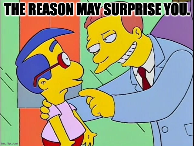 Lionel Hutz | THE REASON MAY SURPRISE YOU. | image tagged in lionel hutz | made w/ Imgflip meme maker