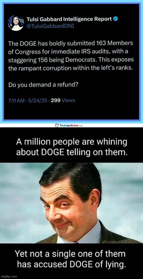They can say what they want. We know why they are so mad at Elon. | image tagged in doge,exposing,swamp corruption | made w/ Imgflip meme maker