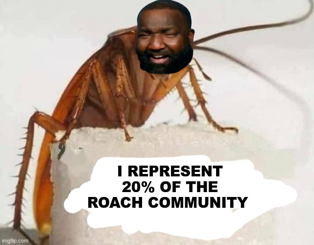 Kendrick Perkins meme | I REPRESENT 20% OF THE ROACH COMMUNITY | image tagged in memes,basketball,basketball meme,nba,roach,sports | made w/ Imgflip meme maker