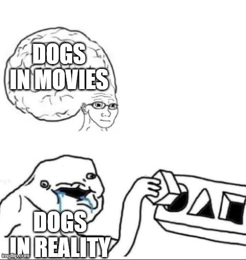 I mean | DOGS IN MOVIES; DOGS IN REALITY | image tagged in dogs,movies | made w/ Imgflip meme maker