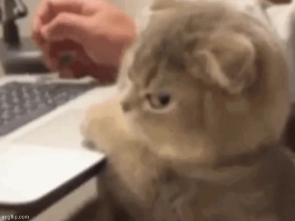 Huh | image tagged in huh | made w/ Imgflip meme maker