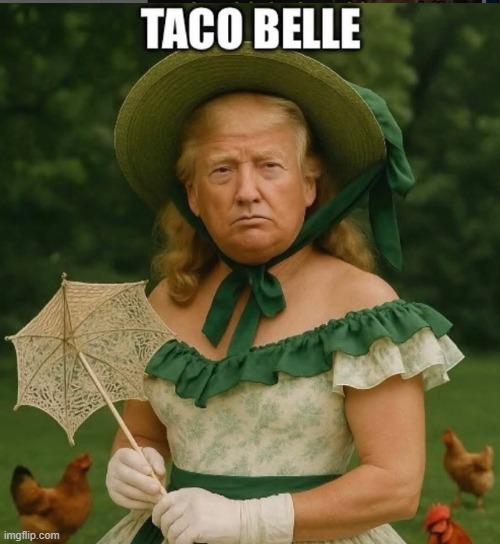Yo No Quiero Taco Belle | image tagged in taco,trump always chickens out,i hate donald trump,trump sucks,funny memes | made w/ Imgflip meme maker