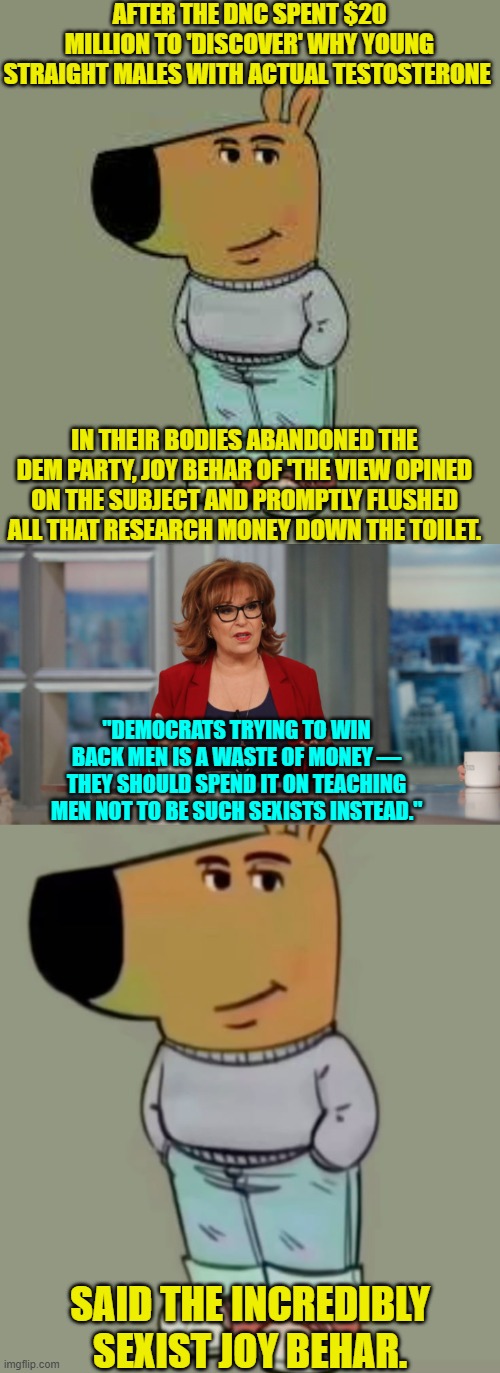 Leftists excel at having ZERO self-awareness.  Are they all narcissists? | AFTER THE DNC SPENT $20 MILLION TO 'DISCOVER' WHY YOUNG STRAIGHT MALES WITH ACTUAL TESTOSTERONE; IN THEIR BODIES ABANDONED THE DEM PARTY, JOY BEHAR OF 'THE VIEW OPINED ON THE SUBJECT AND PROMPTLY FLUSHED ALL THAT RESEARCH MONEY DOWN THE TOILET. "DEMOCRATS TRYING TO WIN BACK MEN IS A WASTE OF MONEY — THEY SHOULD SPEND IT ON TEACHING MEN NOT TO BE SUCH SEXISTS INSTEAD."; SAID THE INCREDIBLY SEXIST JOY BEHAR. | image tagged in low key just a chill guy | made w/ Imgflip meme maker