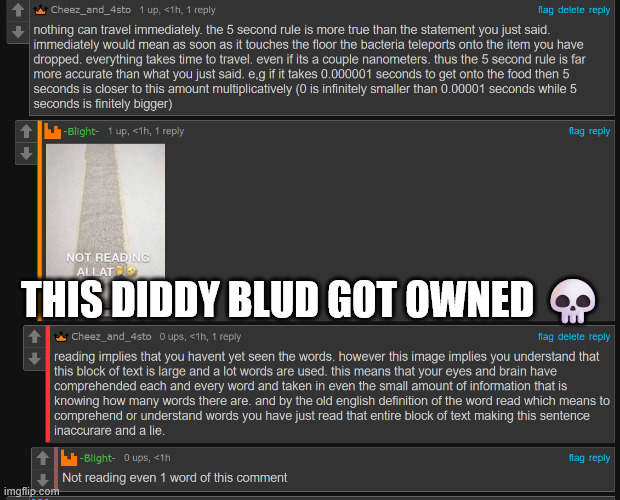 HOW MUCH PLUS AURA IS THIS | THIS DIDDY BLUD GOT OWNED 💀 | image tagged in satire | made w/ Imgflip meme maker