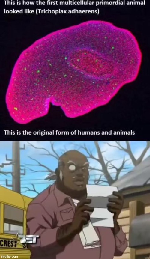 . | made w/ Imgflip meme maker