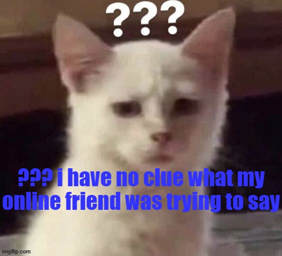 ? | ??? i have no clue what my online friend was trying to say | made w/ Imgflip meme maker