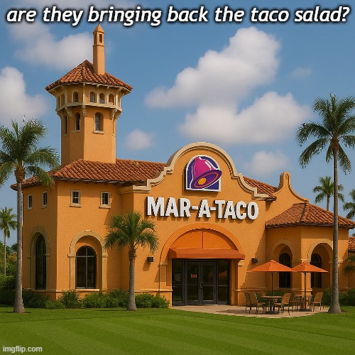 Bring back the taco salad! | are they bringing back the taco salad? | image tagged in taco salad,taco bell,trump | made w/ Imgflip meme maker