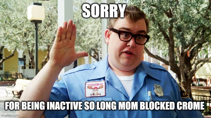 I'm sry it's not my fault | SORRY; FOR BEING INACTIVE SO LONG MOM BLOCKED CROME | image tagged in sorry folks | made w/ Imgflip meme maker