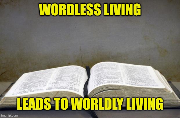 Bible | WORDLESS LIVING; LEADS TO WORLDLY LIVING | image tagged in bible | made w/ Imgflip meme maker