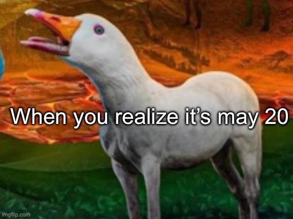 It | When you realize it’s may 20 | image tagged in it | made w/ Imgflip meme maker