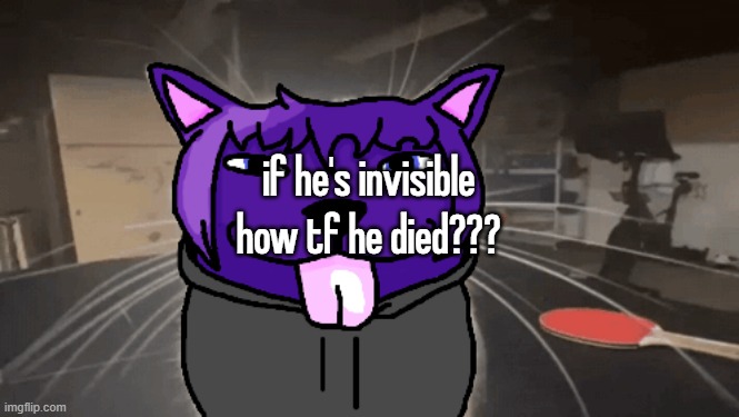tge silly | if he's invisible how tf he died??? | image tagged in tge silly | made w/ Imgflip meme maker