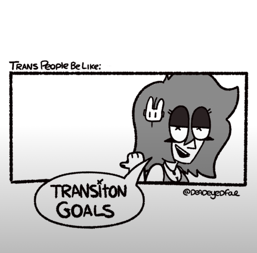Trans girl Transition Goal Blank Meme Template