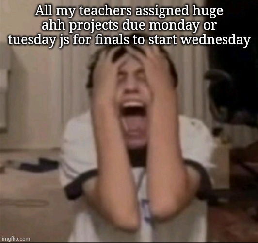 This pmo bro | All my teachers assigned huge ahh projects due monday or tuesday js for finals to start wednesday | made w/ Imgflip meme maker