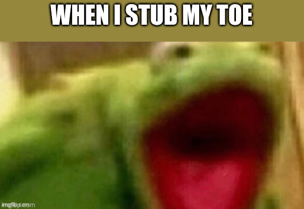 Kermit screaming | WHEN I STUB MY TOE | image tagged in kermit screaming | made w/ Imgflip meme maker