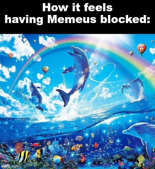 Please block this bitch and move on | How it feels having Memeus blocked: | image tagged in symphony meme | made w/ Imgflip meme maker