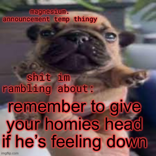 pug temp | remember to give your homies head if he’s feeling down | image tagged in pug temp | made w/ Imgflip meme maker
