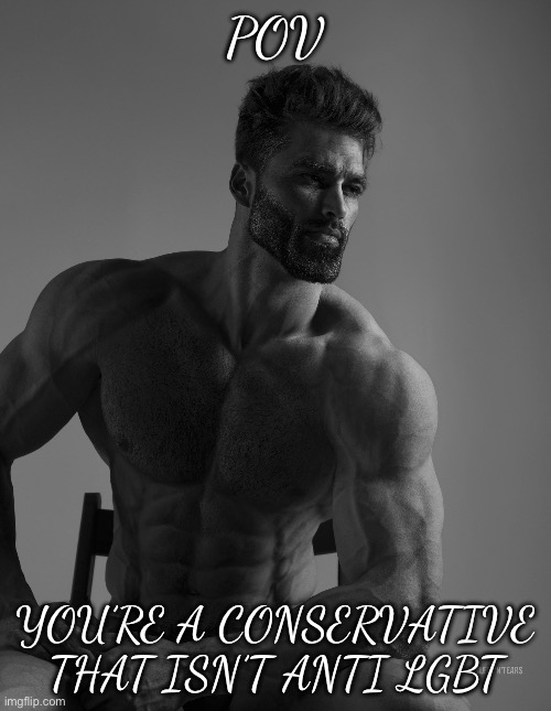Giga Chad | POV; YOU’RE A CONSERVATIVE THAT ISN’T ANTI LGBT | image tagged in giga chad | made w/ Imgflip meme maker