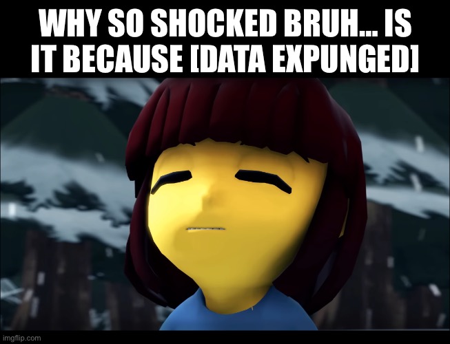 WHY SO SHOCKED BRUH… IS IT BECAUSE [DATA EXPUNGED] | made w/ Imgflip meme maker