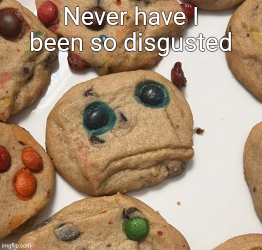 Sad cookie | Never have I been so disgusted | image tagged in sad cookie | made w/ Imgflip meme maker