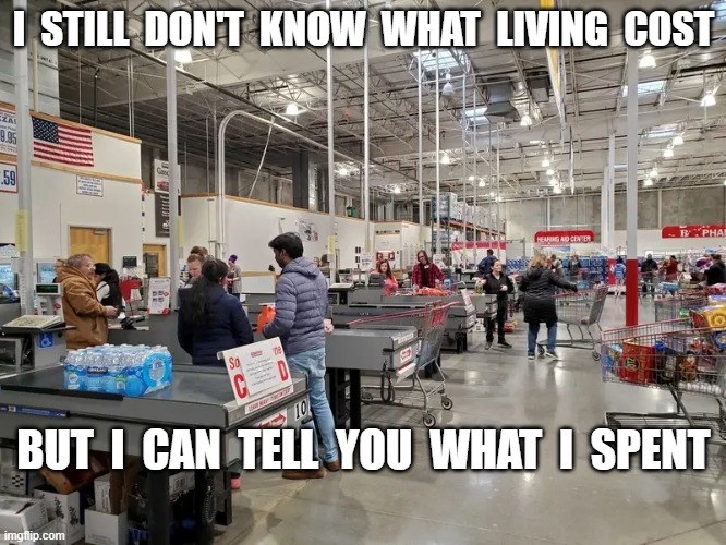 COL | I  STILL  DON'T  KNOW  WHAT  LIVING  COST; BUT  I  CAN  TELL  YOU  WHAT  I  SPENT | image tagged in checkout | made w/ Imgflip meme maker