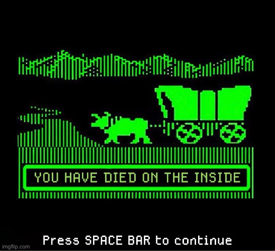 Oregon Trail | image tagged in died,oregon trail | made w/ Imgflip meme maker
