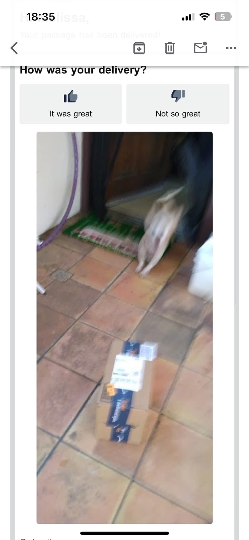 How was your delivery? Blank Meme Template