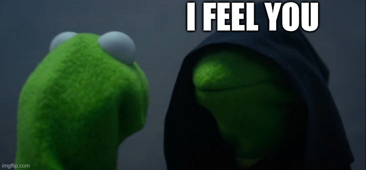 Evil Kermit Meme | I FEEL YOU | image tagged in memes,evil kermit | made w/ Imgflip meme maker
