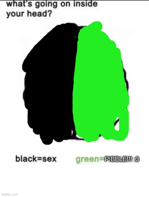 these colors look familiar | PIBBLE!!! :3 | made w/ Imgflip meme maker