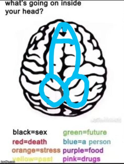 What's going on inside your head? | image tagged in what's going on inside your head | made w/ Imgflip meme maker