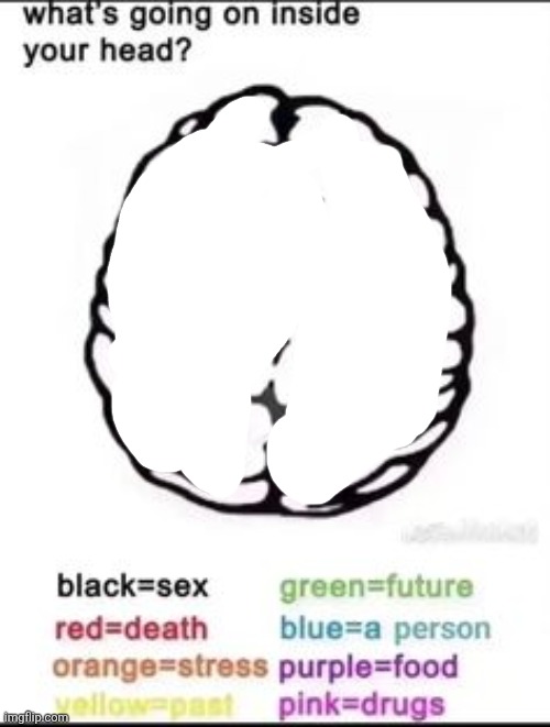 Empty | image tagged in what's going on inside your head | made w/ Imgflip meme maker