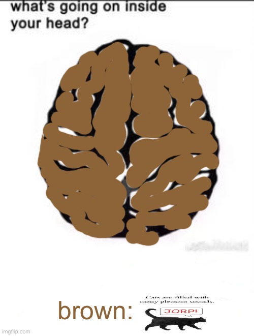 What's going on inside your head? | brown: | image tagged in what's going on inside your head | made w/ Imgflip meme maker