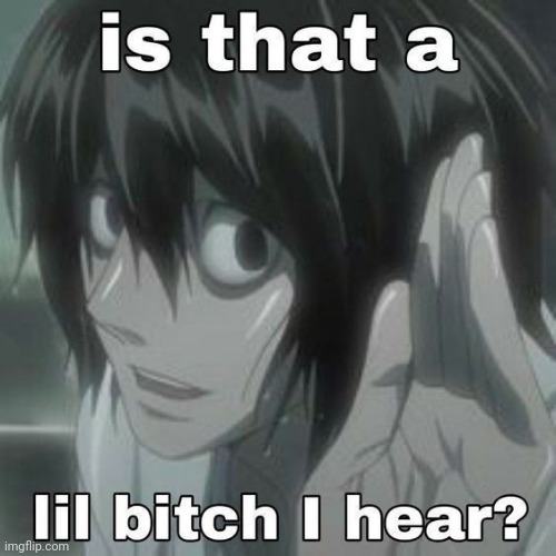 is that a lil bitch i hear? | image tagged in is that a lil bitch i hear | made w/ Imgflip meme maker