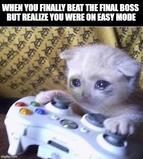 Sad gaming cat | WHEN YOU FINALLY BEAT THE FINAL BOSS 
BUT REALIZE YOU WERE ON EASY MODE | image tagged in sad gaming cat | made w/ Imgflip meme maker