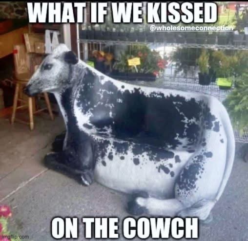 Kiss here | image tagged in couch,cow,kiss | made w/ Imgflip meme maker