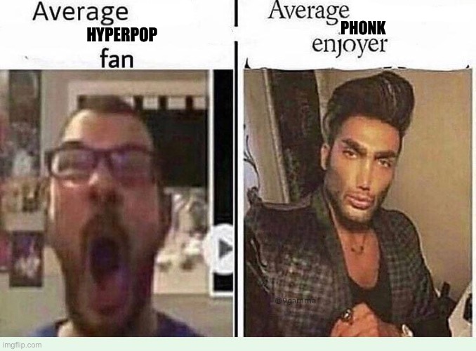 Hyperpop Sounds like if a edgy rainbow furry Stub his Toe | PHONK; HYPERPOP | image tagged in average blank fan vs average blank enjoyer,funny,memes,truth,music,hyperpop sucks | made w/ Imgflip meme maker