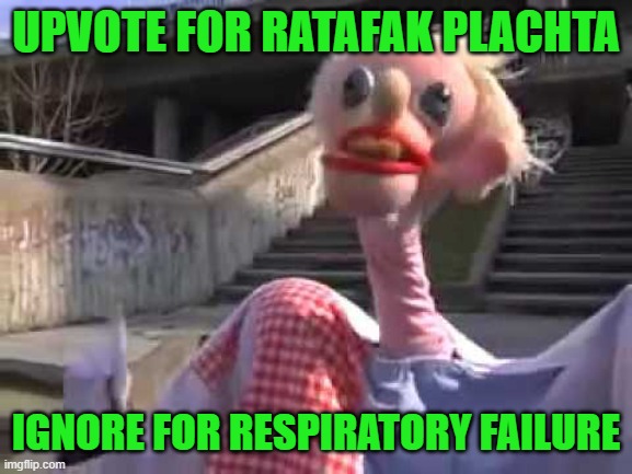 Ratafak Plachta | UPVOTE FOR RATAFAK PLACHTA; IGNORE FOR RESPIRATORY FAILURE | image tagged in ratafak plachta,spaghetti up your urethra | made w/ Imgflip meme maker