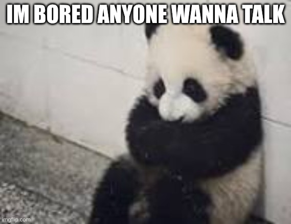 sad panda | IM BORED ANYONE WANNA TALK | image tagged in sad panda | made w/ Imgflip meme maker