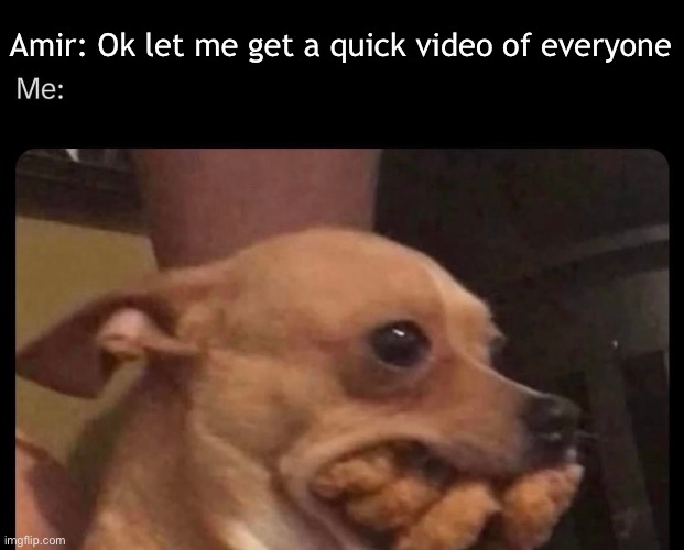 Bro. Say it before I stuff my mouth. | Amir: Ok let me get a quick video of everyone | image tagged in dogs,mouth | made w/ Imgflip meme maker