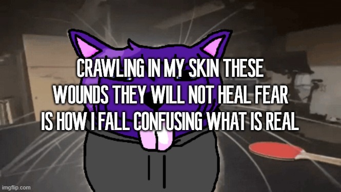 tge silly | CRAWLING IN MY SKIN THESE WOUNDS THEY WILL NOT HEAL FEAR IS HOW I FALL CONFUSING WHAT IS REAL | image tagged in tge silly | made w/ Imgflip meme maker