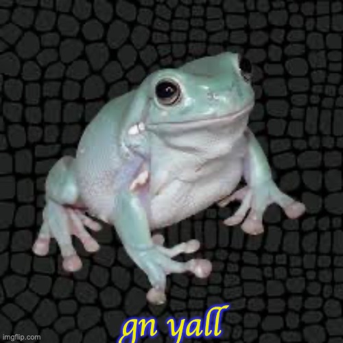 Sweet dreams :D | gn yall | image tagged in white's tree frog | made w/ Imgflip meme maker