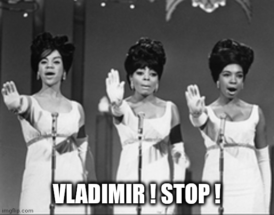 Vlad stop | VLADIMIR ! STOP ! | image tagged in vladimir putin | made w/ Imgflip meme maker