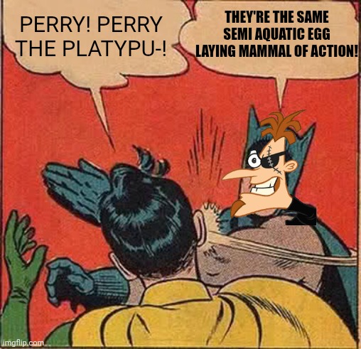 Batman Slapping Robin | THEY'RE THE SAME SEMI AQUATIC EGG LAYING MAMMAL OF ACTION! PERRY! PERRY THE PLATYPU-! | image tagged in memes,batman slapping robin | made w/ Imgflip meme maker