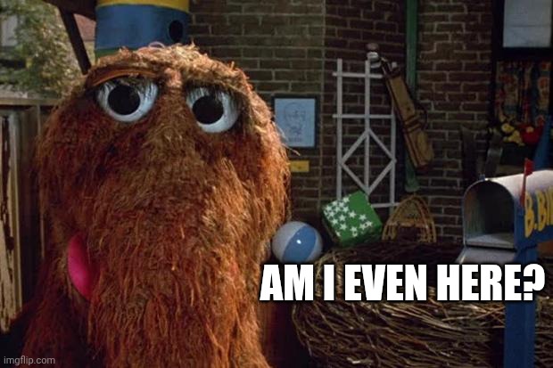Mr Snuffleupagus Looking for Big Bird | AM I EVEN HERE? | image tagged in mr snuffleupagus looking for big bird | made w/ Imgflip meme maker