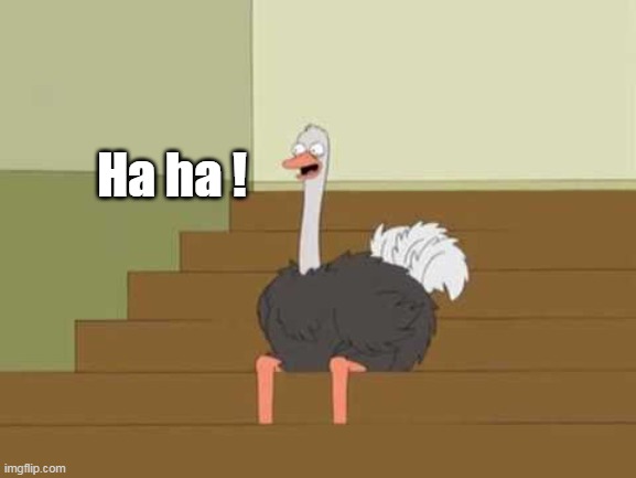 Ha ha ! | made w/ Imgflip meme maker