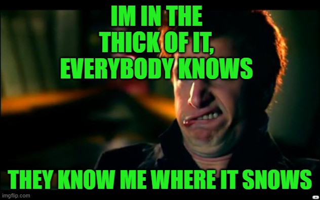 thick of it | IM IN THE THICK OF IT, EVERYBODY KNOWS; THEY KNOW ME WHERE IT SNOWS | image tagged in do not look at original temp | made w/ Imgflip meme maker